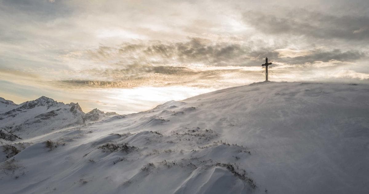 How to Create the Perfect Marriage Biodata Image