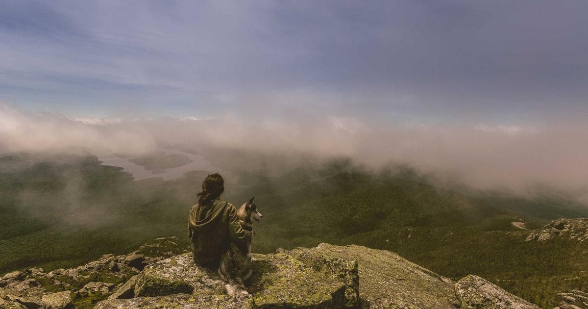 Gujarati Matrimonial Format Image