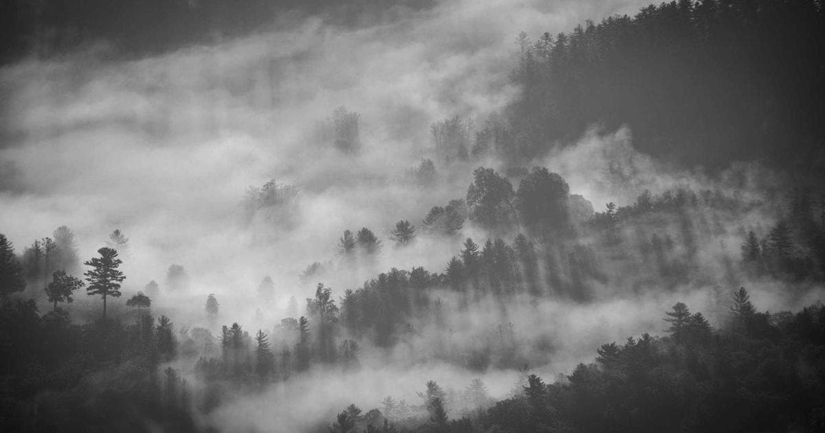 Marriage Biodata Mistakes to Avoid