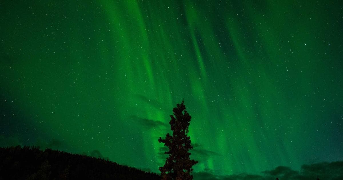 What to Write in Marriage Biodata Guide