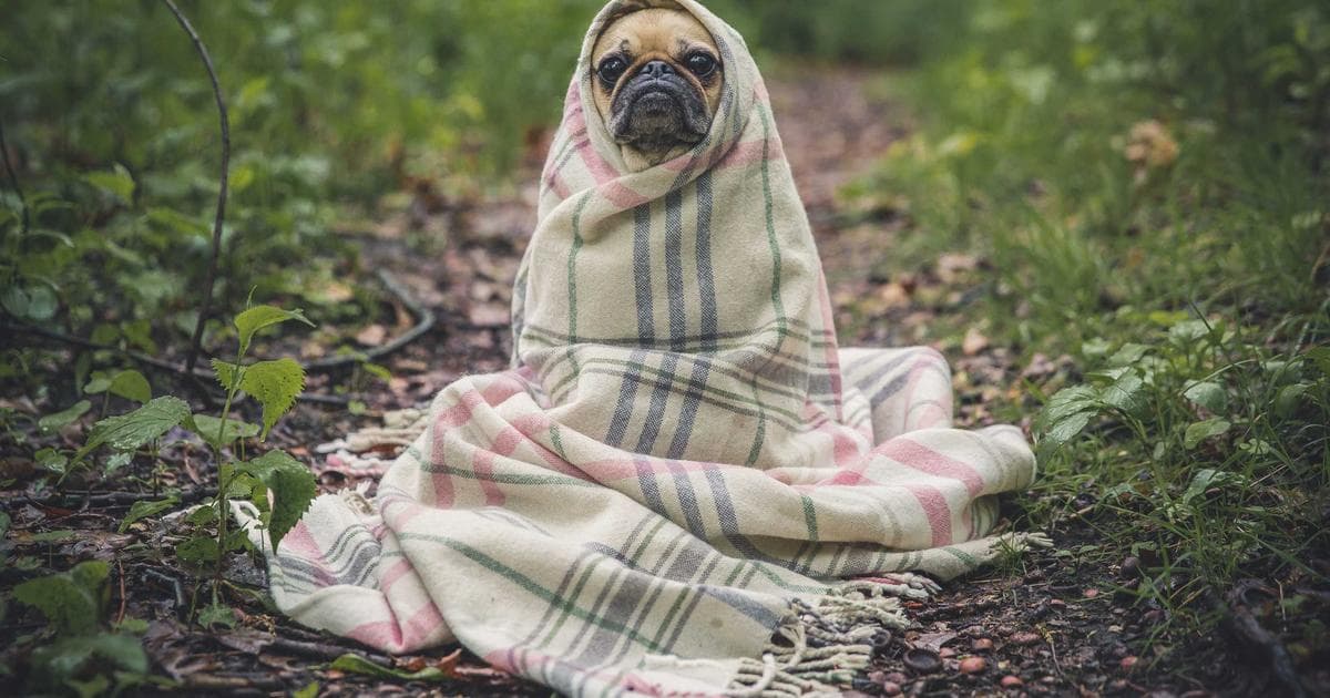 How to Write About Yourself in Marriage Biodata