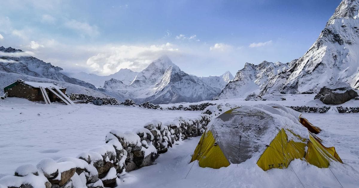 Top 10 Free Marriage Biodata Makers Comparison