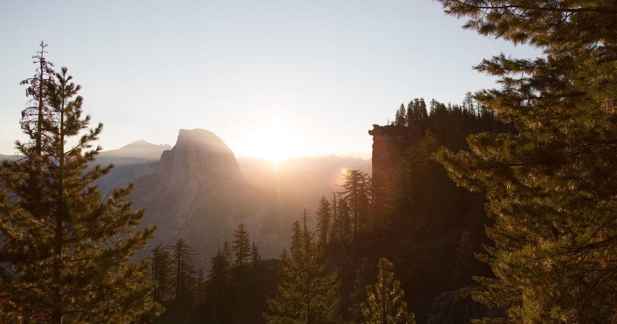 Marriage Biodata Examples Beautiful Designs