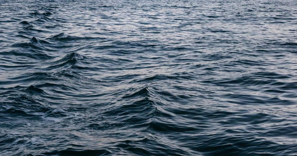 Marriage Biodata vs Resume Key Differences