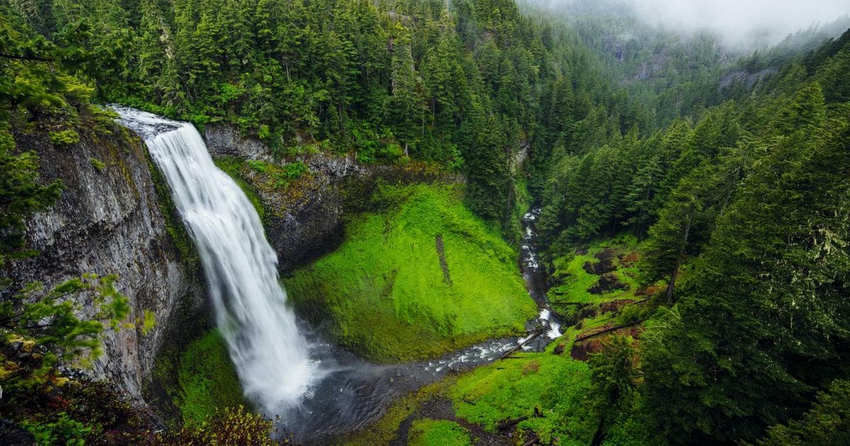 Marriage Biodata for Second Marriage Guide