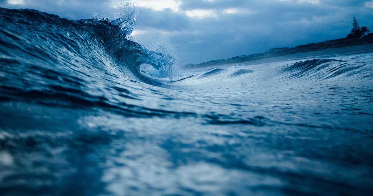 How to Export High-Quality Biodata Image