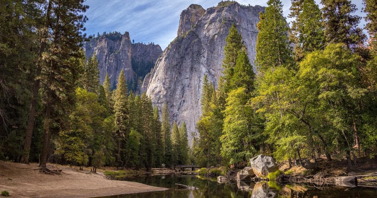 Tools to Make Marriage Biodata on Phone Image