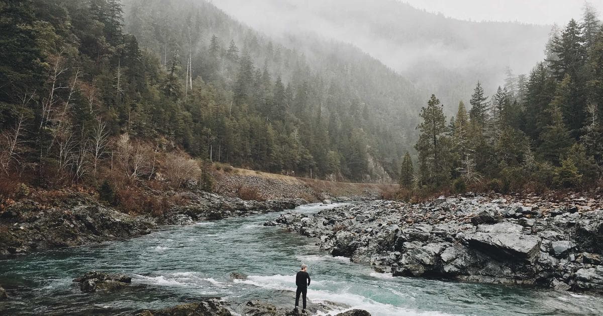 Responsive Biodata Layouts for Mobile Image