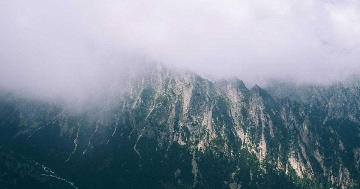 Professional Photos for Matrimonial Biodata Image