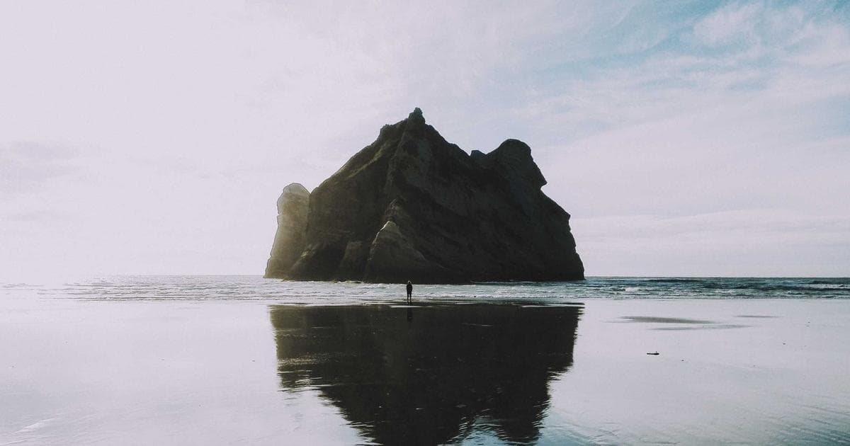 Add Reference Section in Biodata Image